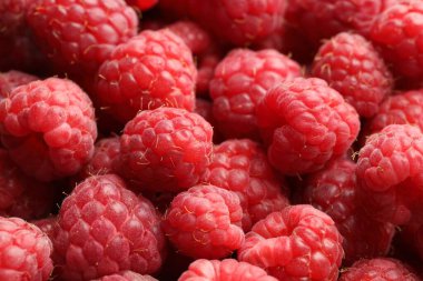 Many fresh ripe raspberries as background, closeup