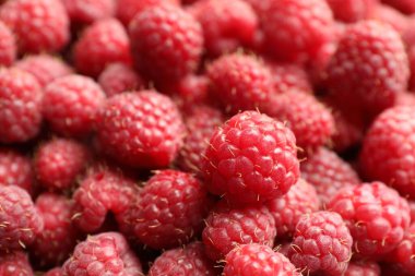 Many fresh ripe raspberries as background, closeup