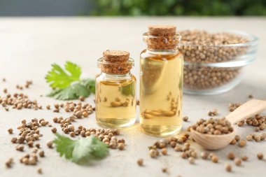 Kişniş yağı şişelerde, tohumlarda ve kişniş yapraklarında ışık masasında, yakın çekim