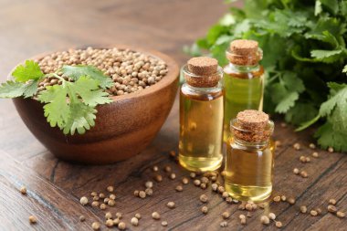 Şişe içinde Aromatik yağ, kişniş yaprakları ve ahşap masa üzerinde kişniş tohumları, yakın çekim