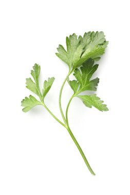 Beyaz maydanozlu taze maydanoz.