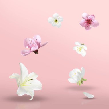 Pembe arkaplana düşen güzel çiçekler