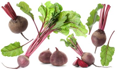 Taze pancarlar ve yeşil yapraklar beyaz üzerine izole edilmiş.