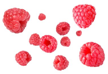 Beyaz arka planda havada dönen taze ahududular.