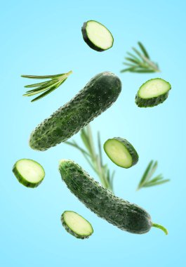 Taze salatalık ve biberiye açık mavi arkaplan üzerine düşüyor