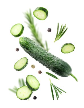 Beyaz arka plana düşen taze salatalıklar, biberiye ve biber taneleri.