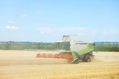 Buğday tarlasında çalışan biçerdöver.