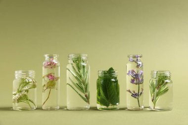 Yeşil zemin üzerinde farklı bitkiler bulunan temel yağlar