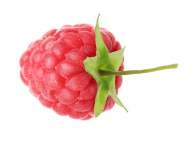 Beyaza izole edilmiş taze ahududu. Lezzetli.