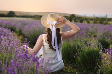 Hasır şapkalı kadın güzel lavanta tarlasında oturuyor.