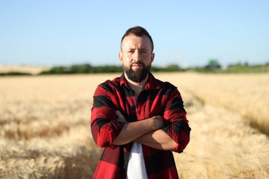 Olgun buğdaylı tarlada çiftçi