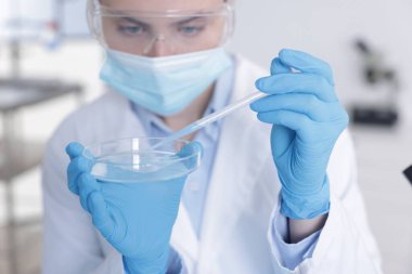 Laboratuvar ve seçici odak noktasında Petri kabında numuneyle çalışan bilim adamı