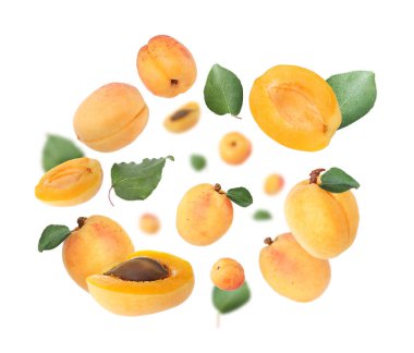 Beyaz arka planda havada dönen taze sulu kayısılar.