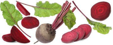 Taze pancarlar ve yeşil yapraklar beyaz üzerine izole edilmiş.