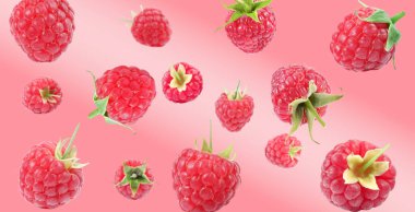 Pembe eğimli arka planda havada dönen taze ahududu.