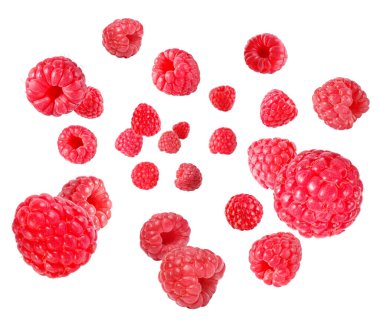 Beyaz arka planda havada dönen taze ahududular.