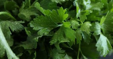 Taze aromalı maydanozlu su damlaları, yakın plan.