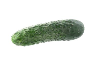 Bir taze yeşil salatalık beyaza izole edilmiş.