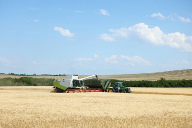 Buğdayı tarladaki traktör römorkuna boşaltan hasatçıyı birleştir.
