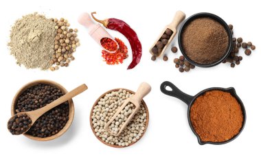 Farklı biber türleri, set. Beyaz üzerine izole baharatlar, üst görünüm