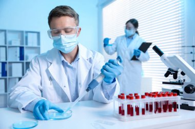 Tıbbi analiz. Laboratuvarda numuneyle çalışan bilim adamı, seçici odaklanma