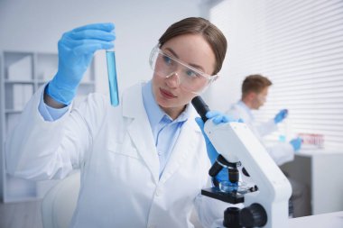 Tıbbi analiz. Laboratuvarda numuneyle çalışan bilim adamı, seçici odaklanma