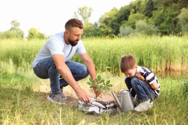 Baba ve oğlu dışarıda toprağa ağaç dikiyorlar.