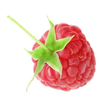 Beyaza izole edilmiş taze ahududu. Lezzetli.