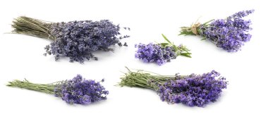 Beyaz, desenli lavanta demetleri