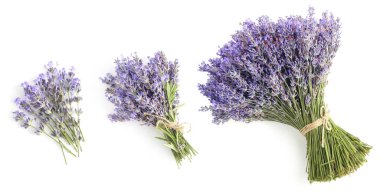 Beyaz, desenli lavanta demetleri