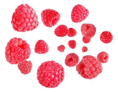 Beyaz arka planda havada dönen taze ahududular.