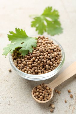 Kase içinde kişniş tohumları, kaşık ve taze kişniş yaprağı renkli masa, yakın çekim