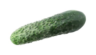 Bir taze yeşil salatalık beyaza izole edilmiş.