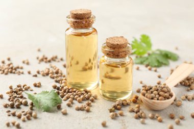 Kişniş yağı şişelerde, tohumlarda ve kişniş yapraklarında ışık masasında, yakın çekim