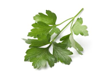 Beyaz maydanozlu taze maydanoz.