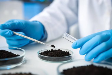 Bilim adamı, laboratuardaki beyaz masada araştırma yapmak için toprak örneği alıyor.