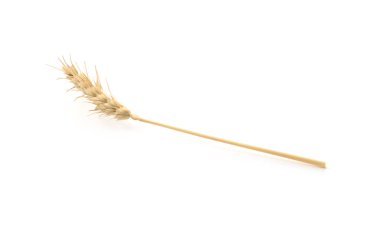 Bir buğday sapı beyaza izole edilmiş.