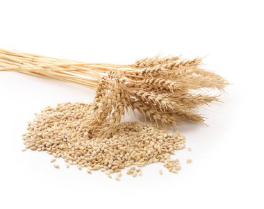 Beyaza izole edilmiş buğday filizi ve tahıllar