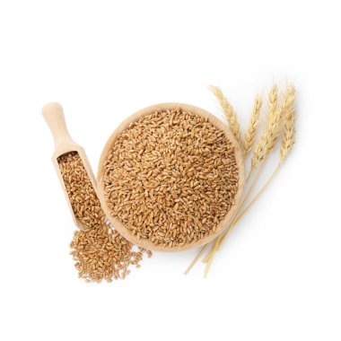 Kasede buğday taneleri, ahşap kepçeler ve beyaza izole edilmiş çiviler, üst manzara.