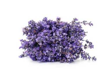 Bir sürü güzel lavanta çiçeği beyazda izole edilmiş.