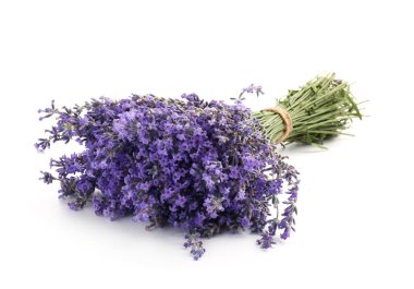 Beyaz bir demet güzel lavanta çiçeği