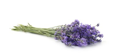 Beyaz bir demet güzel lavanta çiçeği