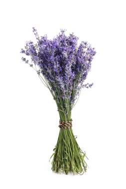 Beyaz bir demet güzel lavanta çiçeği