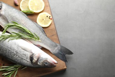 Gri masadaki baharatlı taze çiğ deniz kabuğu balığı, yazı için üst manzara ve boşluk. Deniz ürünleri lezzetleri.