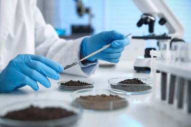 Bilim adamı, laboratuardaki beyaz masada araştırma yapmak için toprak örneği alıyor.