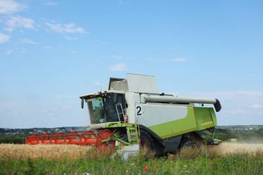 Buğday tarlasında çalışan biçerdöver.