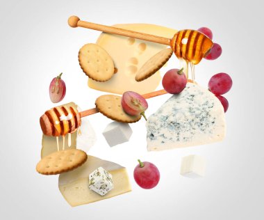 Gri gradyan arka planda havada peynir ürünleri. Farklı peynir, üzüm, kraker ve bal çeşitleri.