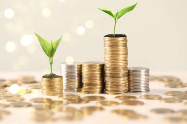 Tasarruf kavramı. Yığılmış paralar ve yeşil filizler bej arka plan, bokeh etkisi