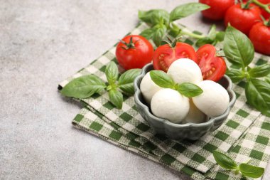 Lezzetli mozzarella peynir topları, domates ve fesleğen, yakın plan. Metin için boşluk