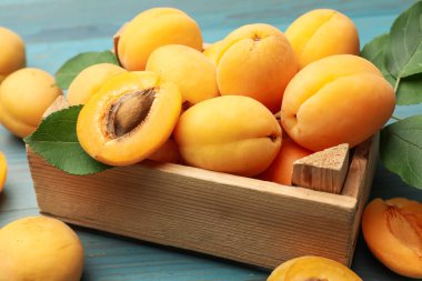 Açık mavi ahşap masada sandıkta lezzetli olgun kayısılar, yakın plan.